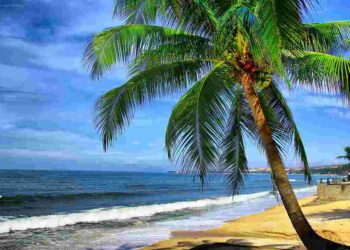 Mùa nào đi du lịch bãi biển Nha Trang là đẹp nhất