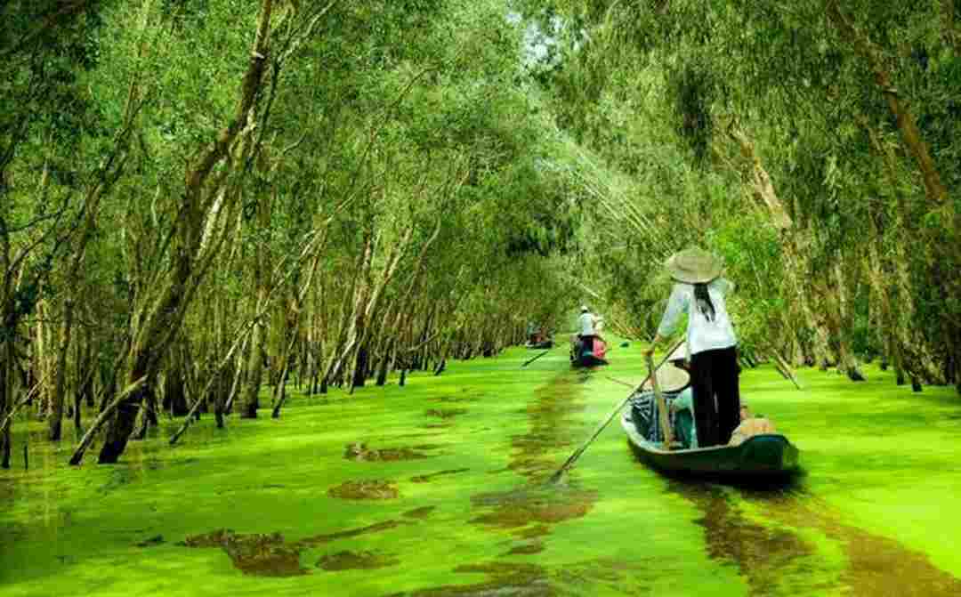 Nên đi vào mùa nào để có phong cảnh đẹp nhất