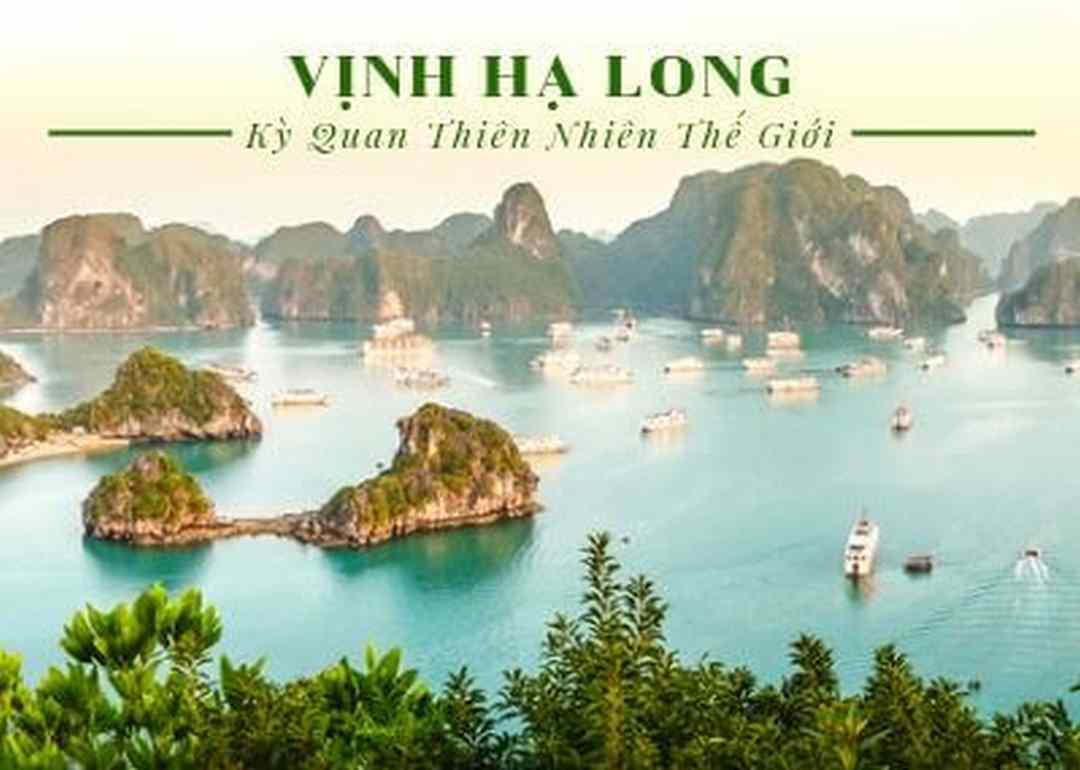 Vịnh Hạ Long là điểm đến yêu thích của những người yêu thiên nhiên