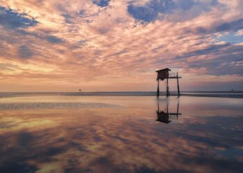 Đảo Khỉ – địa điểm du lịch Cần Giờ không thể bỏ qua