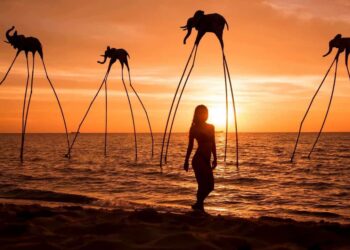 Phú Quốc United Center