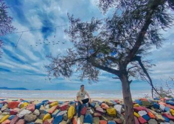 Khu vực nào có nhiều nhà nghỉ ở biển Cần Giờ?