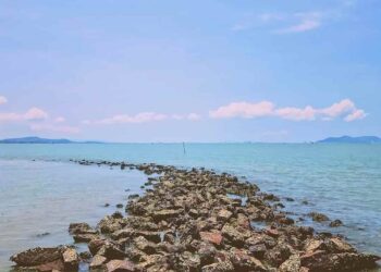 Đảo Khỉ – địa điểm du lịch Cần Giờ không thể bỏ qua