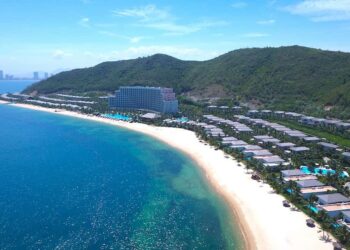 Những hoạt động hấp dẫn