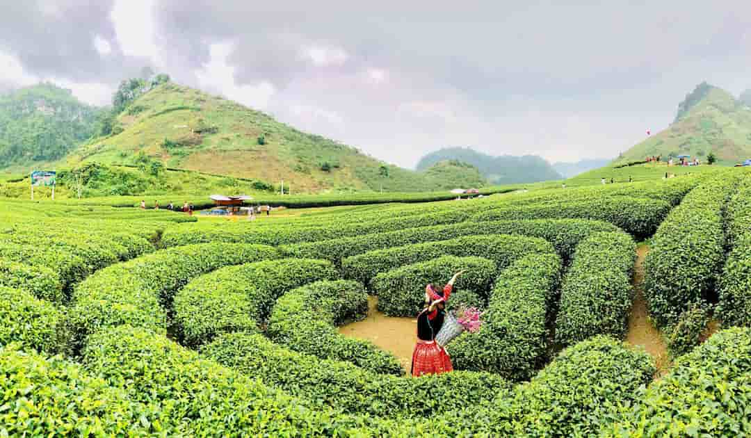 Bản Lóng Luông