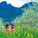 Phương tiện di chuyển lên Mộc Châu