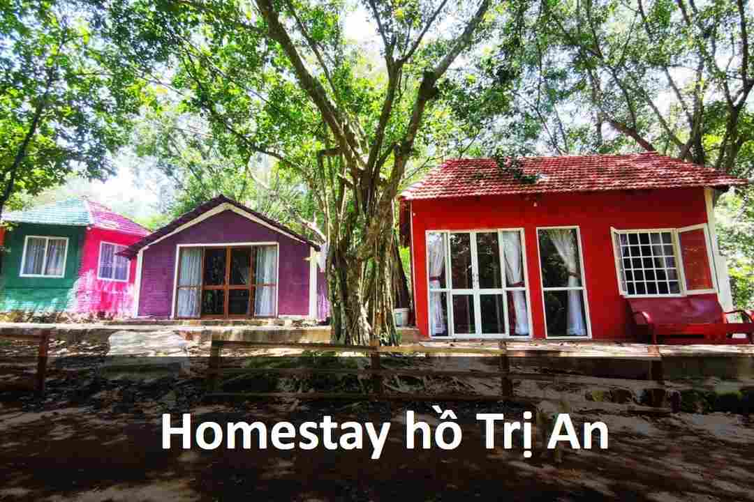 Có nên ở Homestay khi đi du lịch Hồ Trị An?