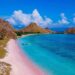 Pink Beach - địa danh thú vị tại Đảo Rồng Komodo