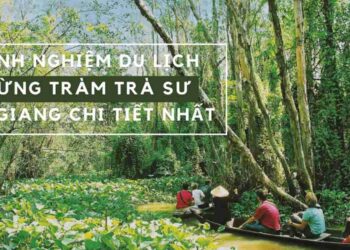 Kinh nghiệm du lịch rừng Tràm Trà Sư ở An Giang