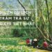 Kinh nghiệm du lịch rừng Tràm Trà Sư ở An Giang