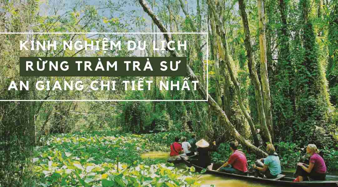 Kinh nghiệm du lịch rừng Tràm Trà Sư ở An Giang