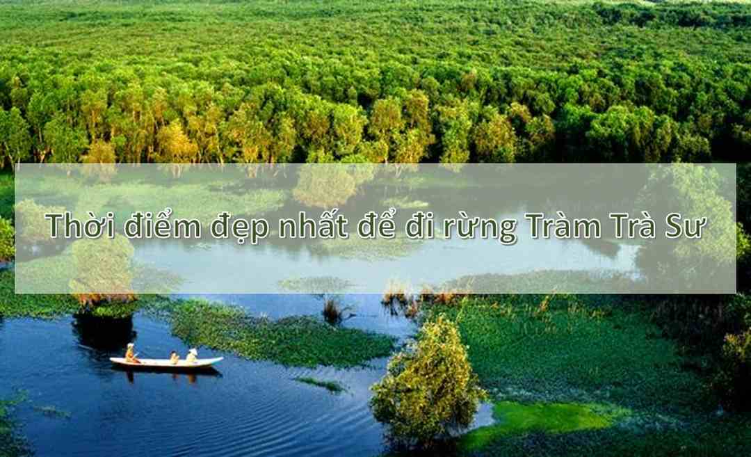 Thời điểm đẹp nhất để đi Rừng Tràm Trà Sư: tháng 1 - 4