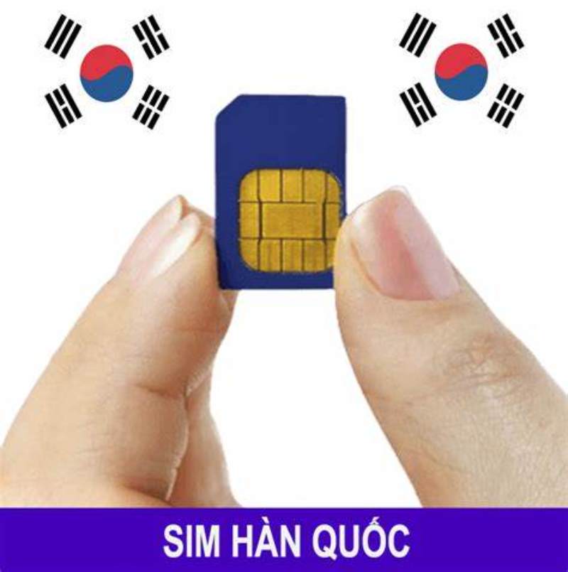 Có nhiều loại sim du lịch Hàn Quốc