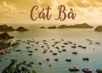 Cát Bà tiếp đón khách hàng tận tâm uy tín