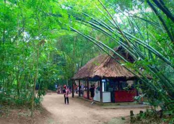 Điểm đến hấp dẫn du khách về khám phá tìm hiểu