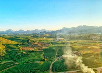 Mùa hè ở Mộc Châu có đẹp không?