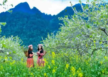 Phương tiện di chuyển lên Mộc Châu