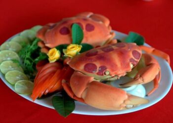 Cua mặt trăng - Đặc sản đảo Phú Quý