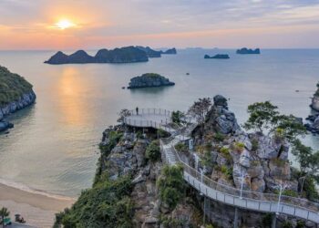 Trên hành trình tham quan vịnh