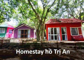 Có nên ở Homestay khi đi du lịch Hồ Trị An?