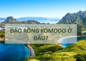 Đảo Rồng Komodo Ở Đâu?