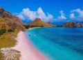 Pink Beach - địa danh thú vị tại Đảo Rồng Komodo