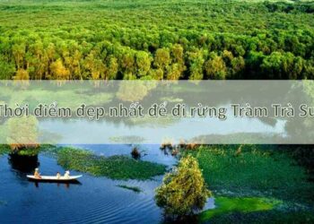 Thời điểm đẹp nhất để đi Rừng Tràm Trà Sư: tháng 1 - 4