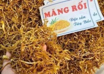 Cách bảo quản măng rối khô