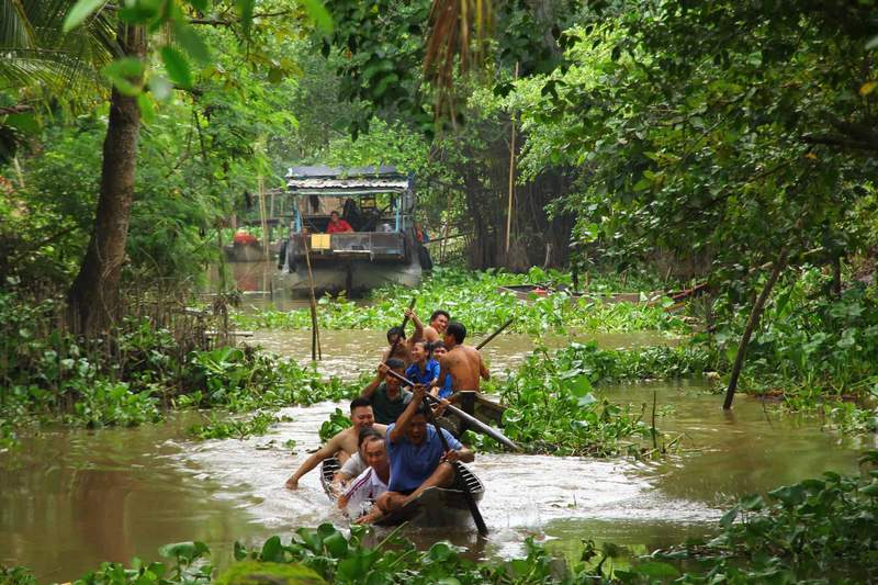 Vẻ đẹp bình dị của miền sông nước Bến Tre